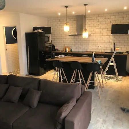 Maisonnette - Jardin - Barbecue - Netflix Albi