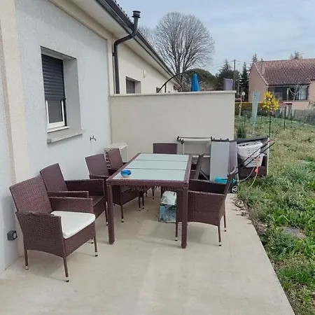 Maisonnette - Jardin - Barbecue - Netflix Albi