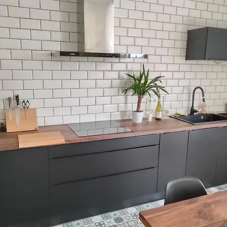 Maisonnette - Jardin - Barbecue - Netflix